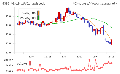 システムサポートホールディングスチャート