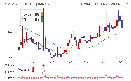 テーオーホールディングスチャート