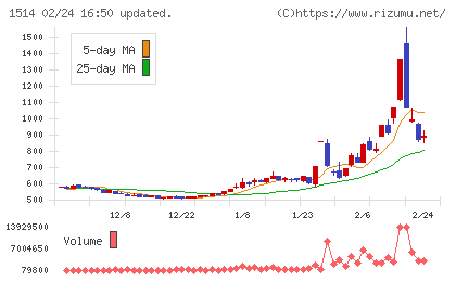 住石ホールディングスチャート