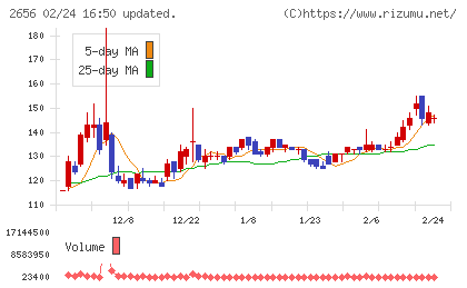 ベクターホールディングスチャート