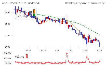電算システムホールディングスチャート