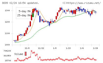 HSホールディングスチャート