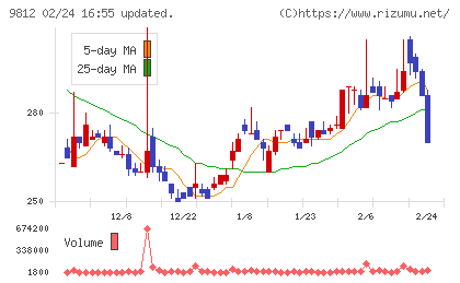 テーオーホールディングスチャート