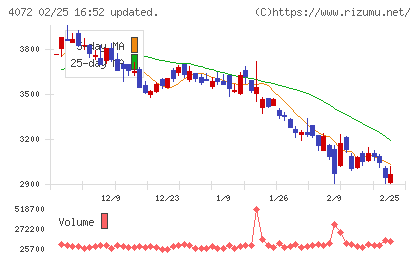 電算システムホールディングスチャート