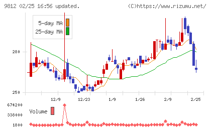 テーオーホールディングスチャート