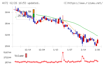 電算システムホールディングスチャート