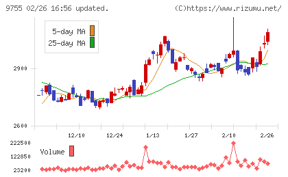 応用地質チャート