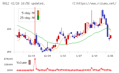 テーオーホールディングスチャート