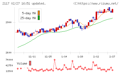 日新製糖ホールディングスチャート
