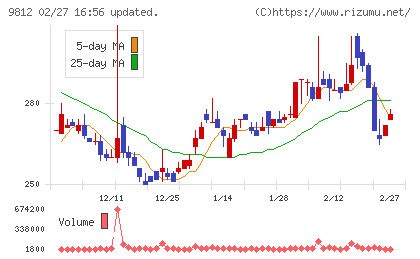 テーオーホールディングスチャート