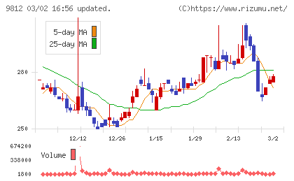 テーオーホールディングスチャート