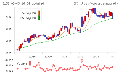 八洲電機チャート