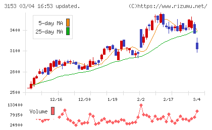 八洲電機チャート