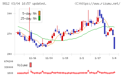 テーオーホールディングスチャート