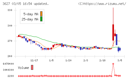 テクミラホールディングスチャート