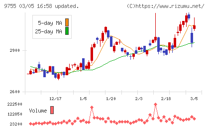 応用地質チャート