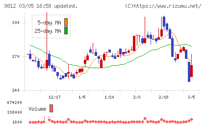 テーオーホールディングスチャート