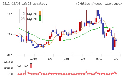 テーオーホールディングスチャート
