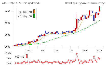 日本ピグメントホールディングスチャート