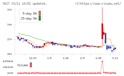 テクミラホールディングスチャート