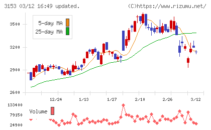 八洲電機チャート