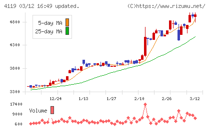 日本ピグメントホールディングスチャート