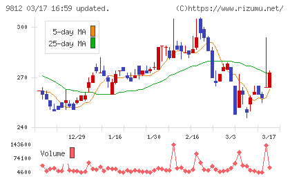 テーオーホールディングスチャート