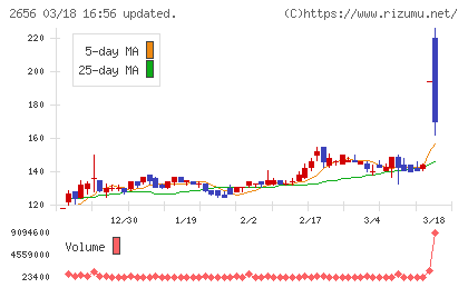 ベクターホールディングスチャート