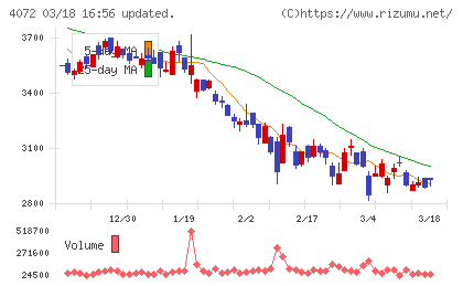 電算システムホールディングスチャート