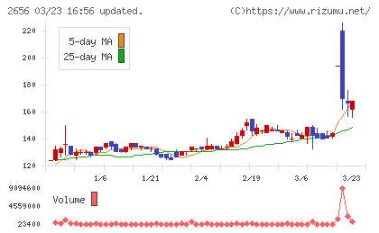 ベクターホールディングスチャート
