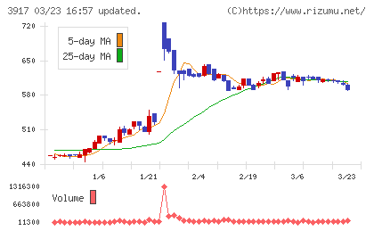 アイリッジチャート