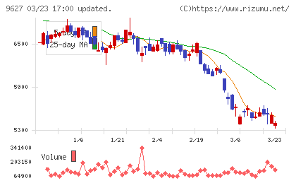 アインホールディングスチャート