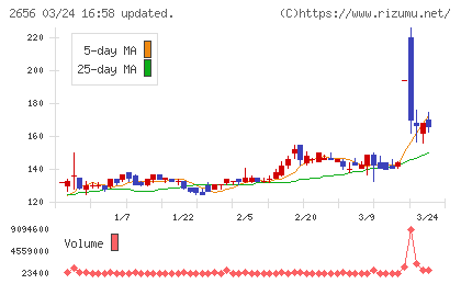 ベクターホールディングスチャート