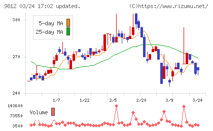 テーオーホールディングスチャート