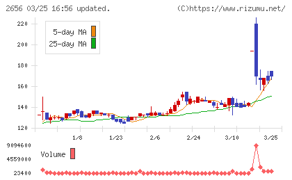 ベクターホールディングスチャート