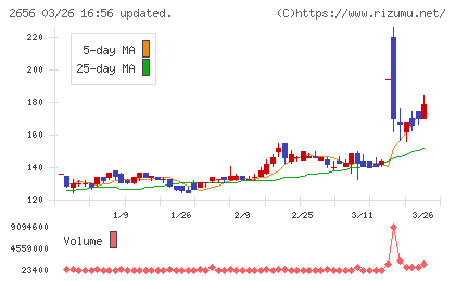 ベクターホールディングスチャート