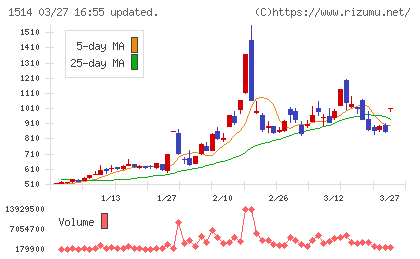 住石ホールディングスチャート