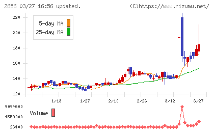 ベクターホールディングスチャート