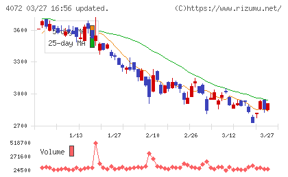 電算システムホールディングスチャート