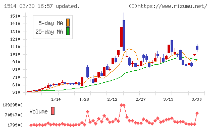 住石ホールディングスチャート