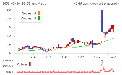 ベクターホールディングスチャート