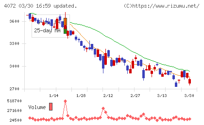 電算システムホールディングスチャート
