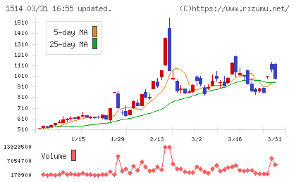 住石ホールディングスチャート