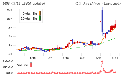 ベクターホールディングスチャート