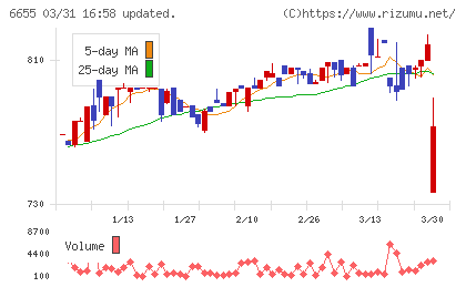 東洋電機チャート