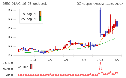 ベクターホールディングスチャート