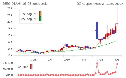 ベクターホールディングスチャート
