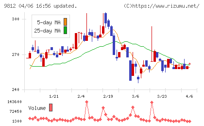 テーオーホールディングスチャート