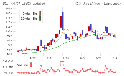 住石ホールディングスチャート
