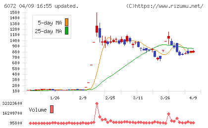 地盤ネットホールディングスチャート